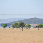 QUIJOTE BIKE TOUR 45