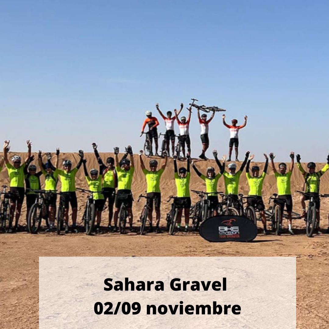  Sahara Gravel 